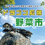 ドラゴン広場野菜市